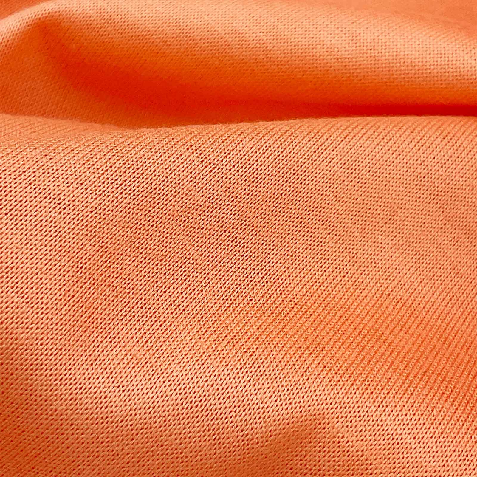 50/2ｴｼﾞﾌﾟﾄ綿ｼﾙｹｯﾄ天竺